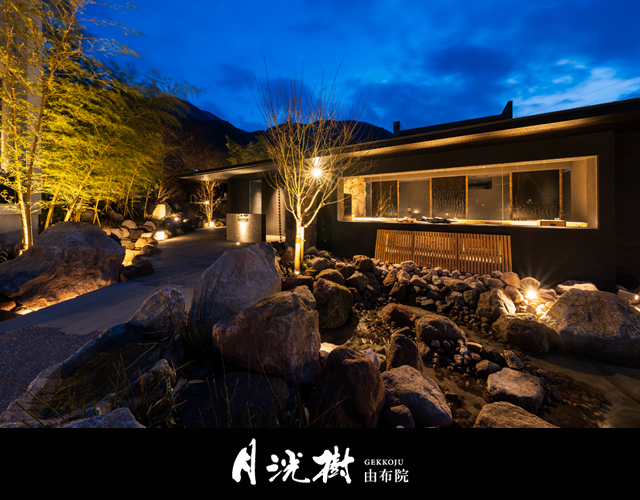 月洸树 由布院