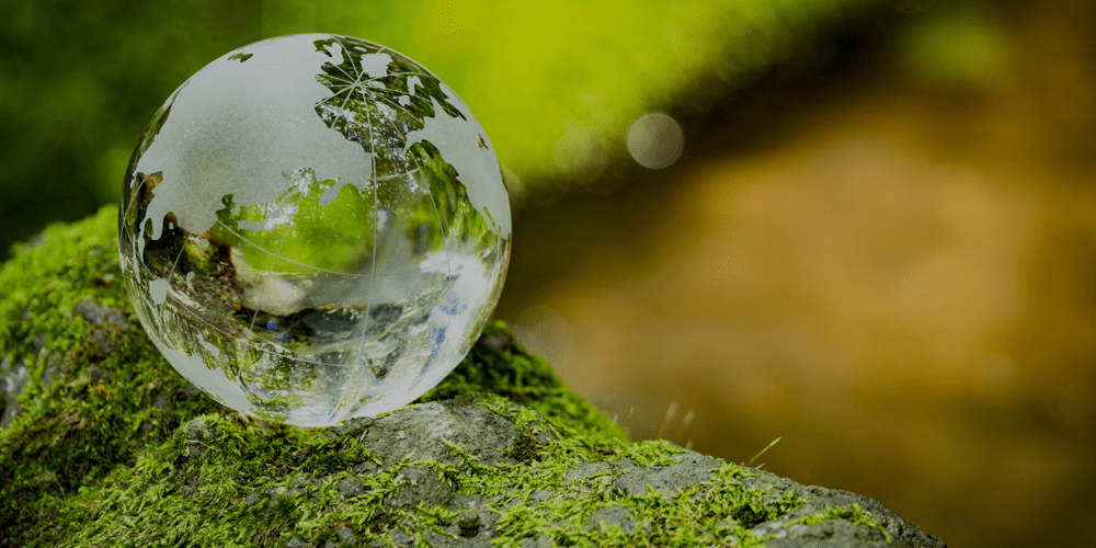 環境保全活動への取組