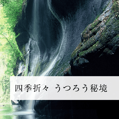 由布市観光情報